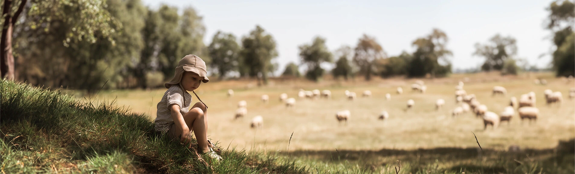 Afbeelding zonder ALT