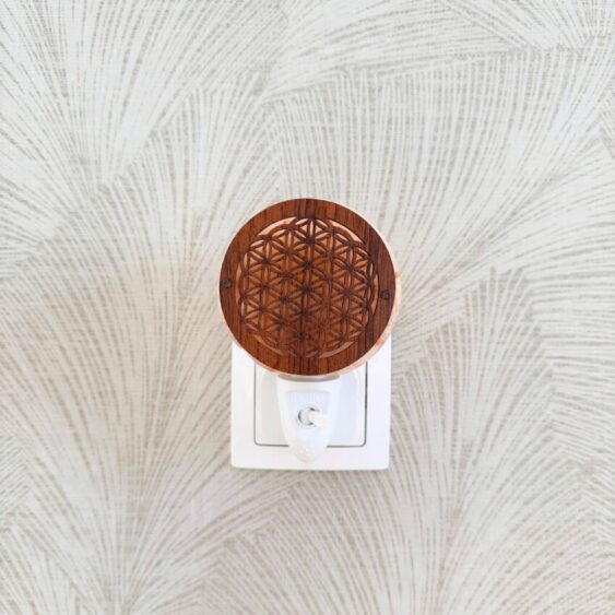 Baby Natura Himalayazout nachtlampje Chakra 3D